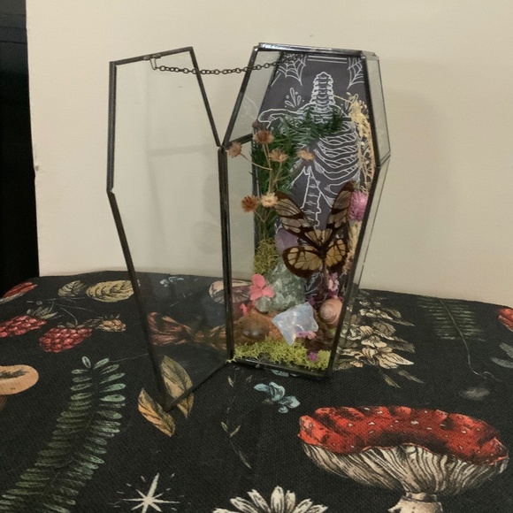 Glass coffin butterfly crystal nature display oddity - Picture 1 of 2